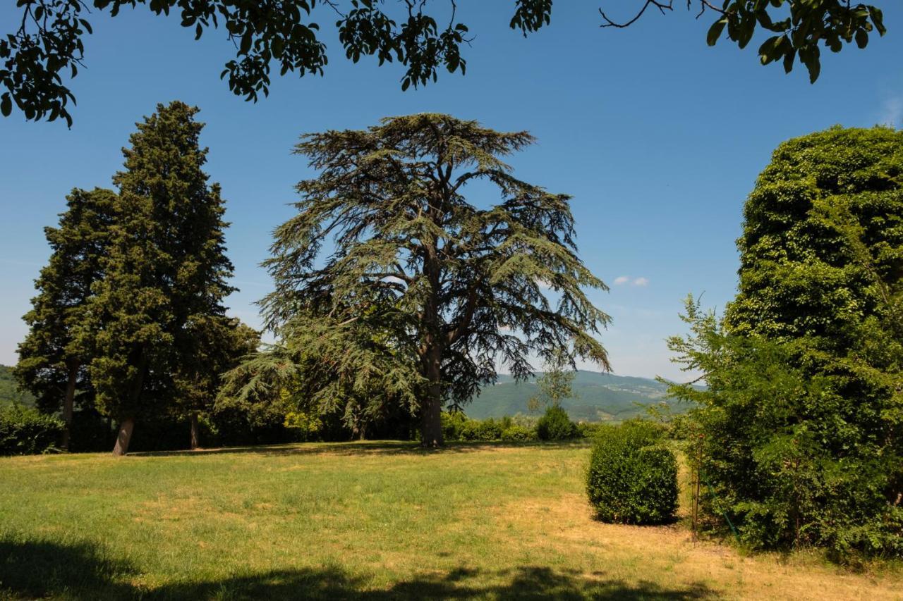 Agriturismo Fattoria Lavacchio Понтассьєве Екстер'єр фото
