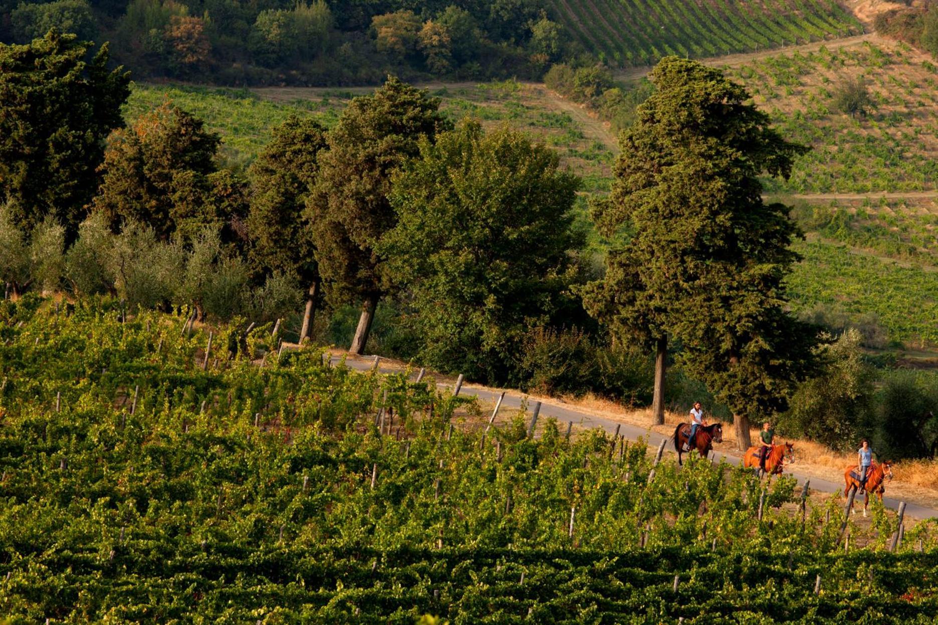 Agriturismo Fattoria Lavacchio Понтассьєве Екстер'єр фото