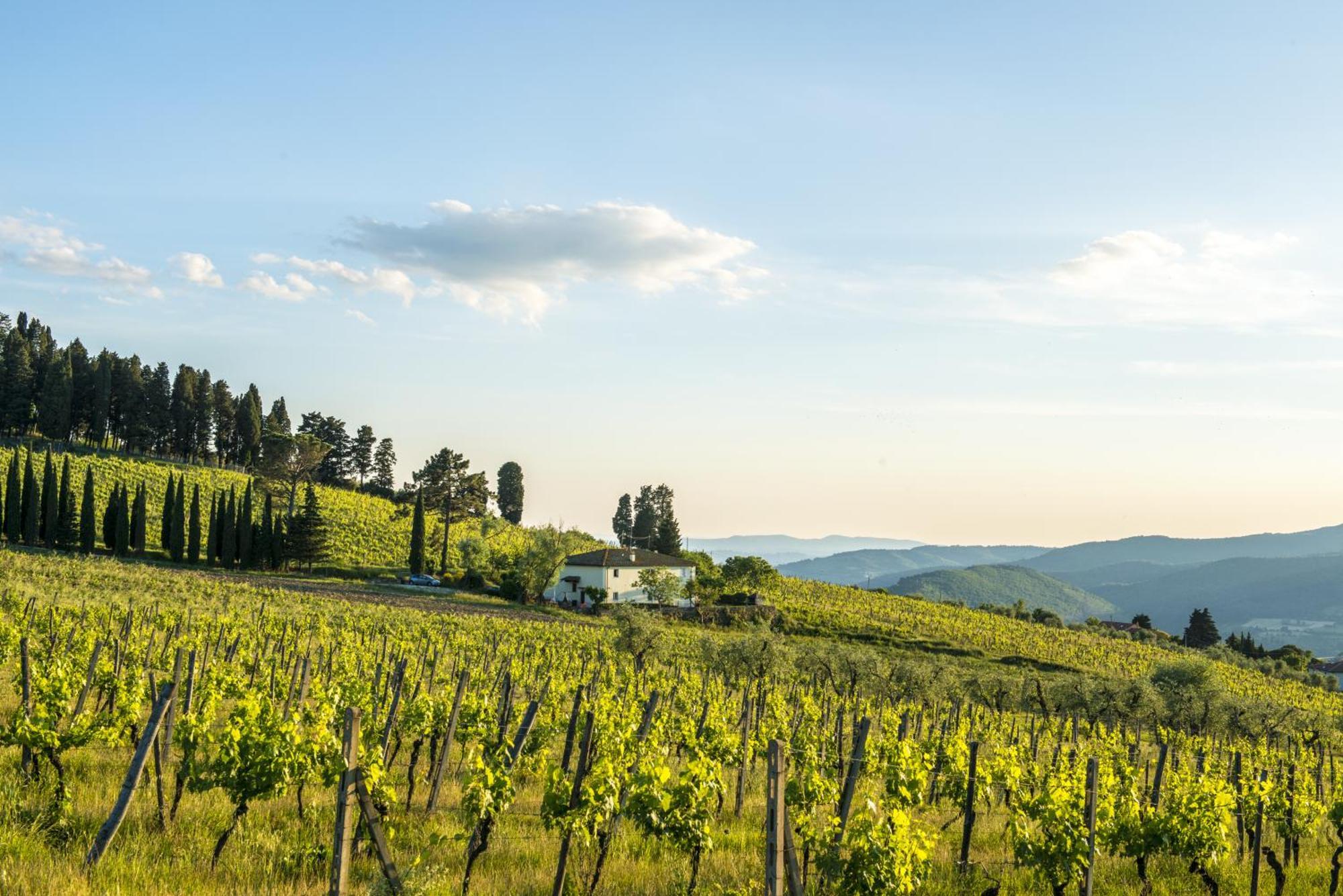 Agriturismo Fattoria Lavacchio Понтассьєве Номер фото
