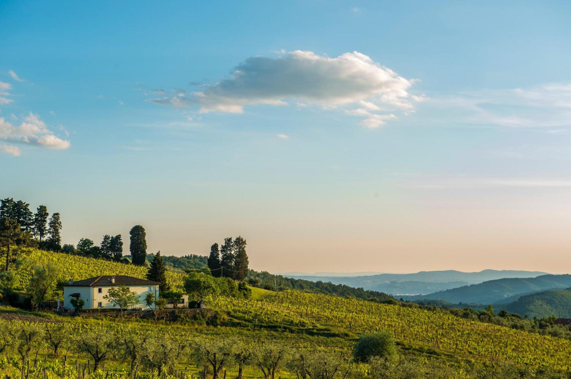 Agriturismo Fattoria Lavacchio Понтассьєве Номер фото