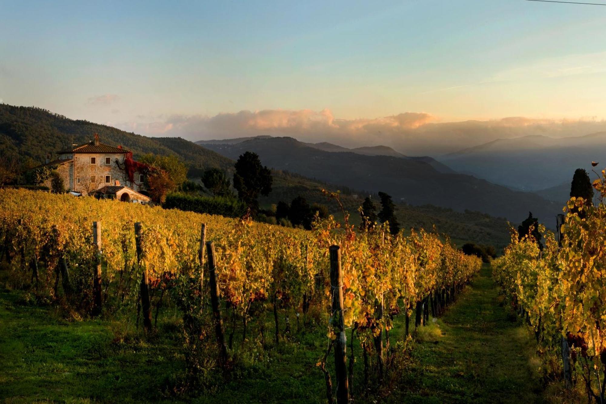 Agriturismo Fattoria Lavacchio Понтассьєве Екстер'єр фото